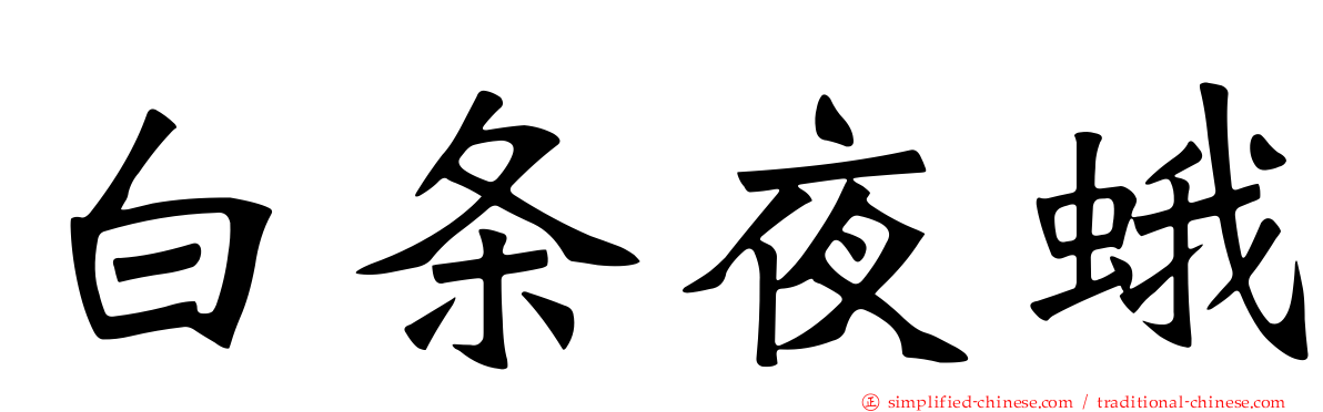 白条夜蛾