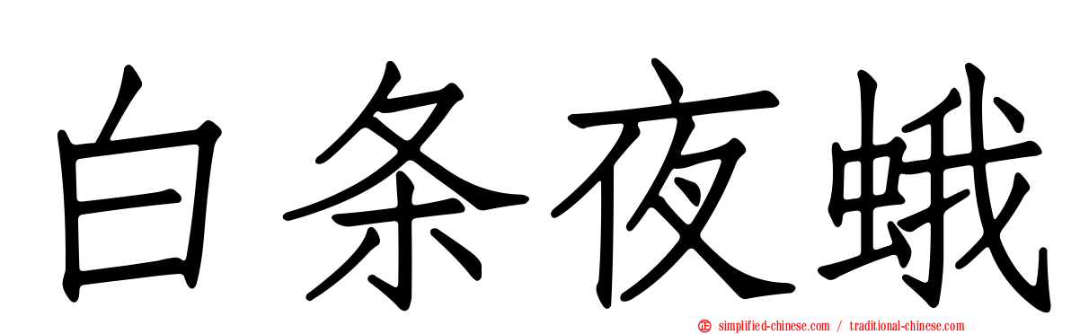白条夜蛾