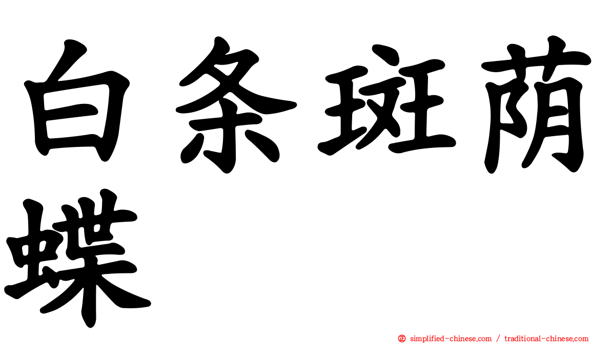白条斑荫蝶