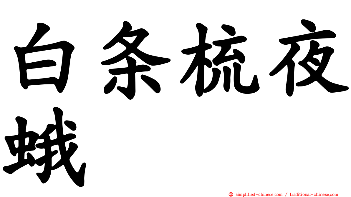白条梳夜蛾