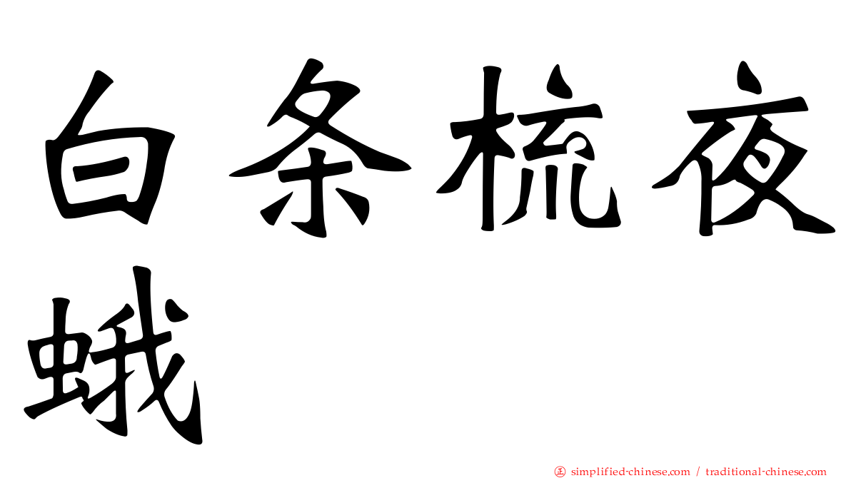 白条梳夜蛾
