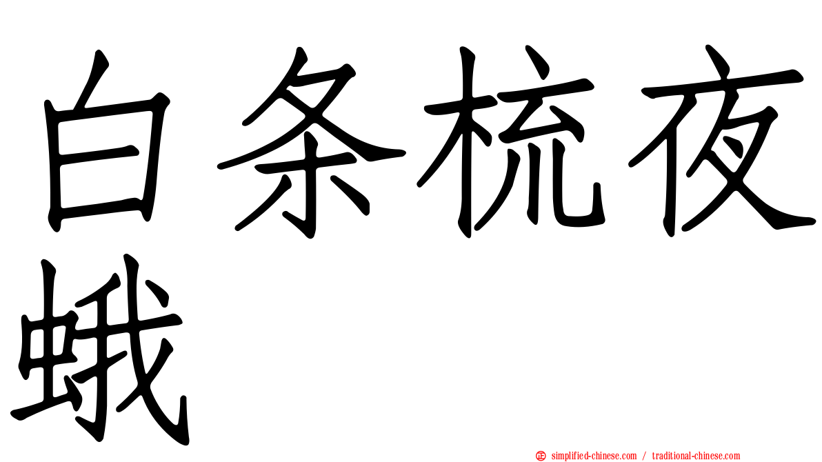白条梳夜蛾