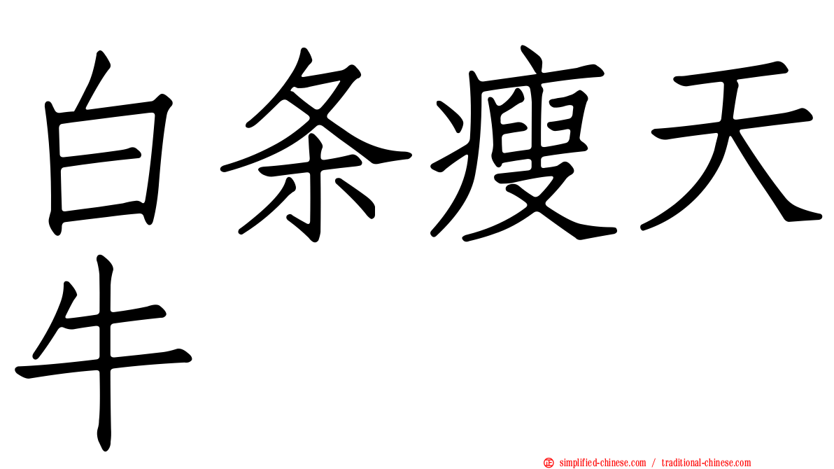 白条瘦天牛