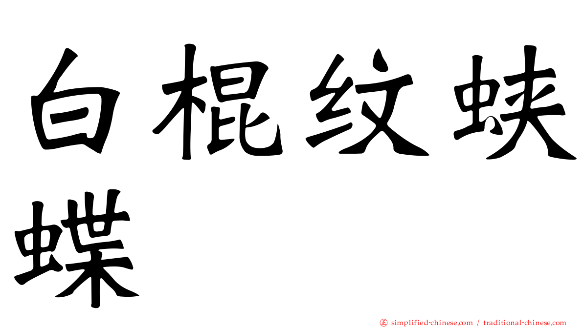 白棍纹蛱蝶
