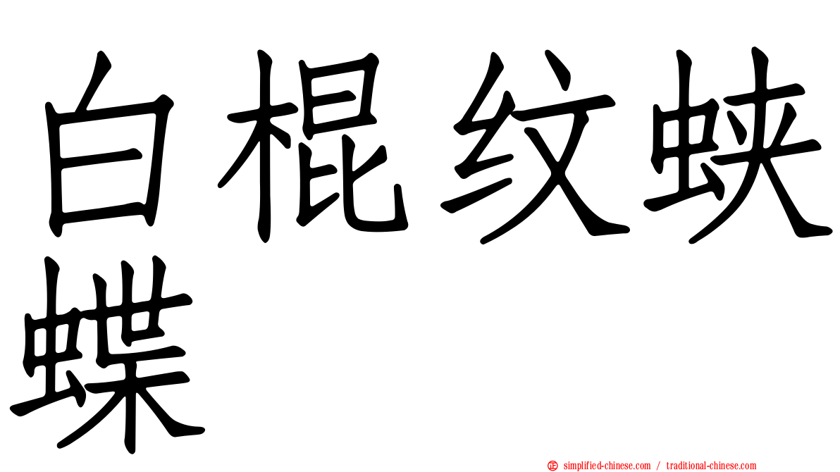 白棍纹蛱蝶