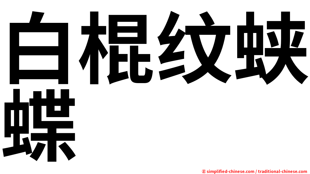 白棍纹蛱蝶