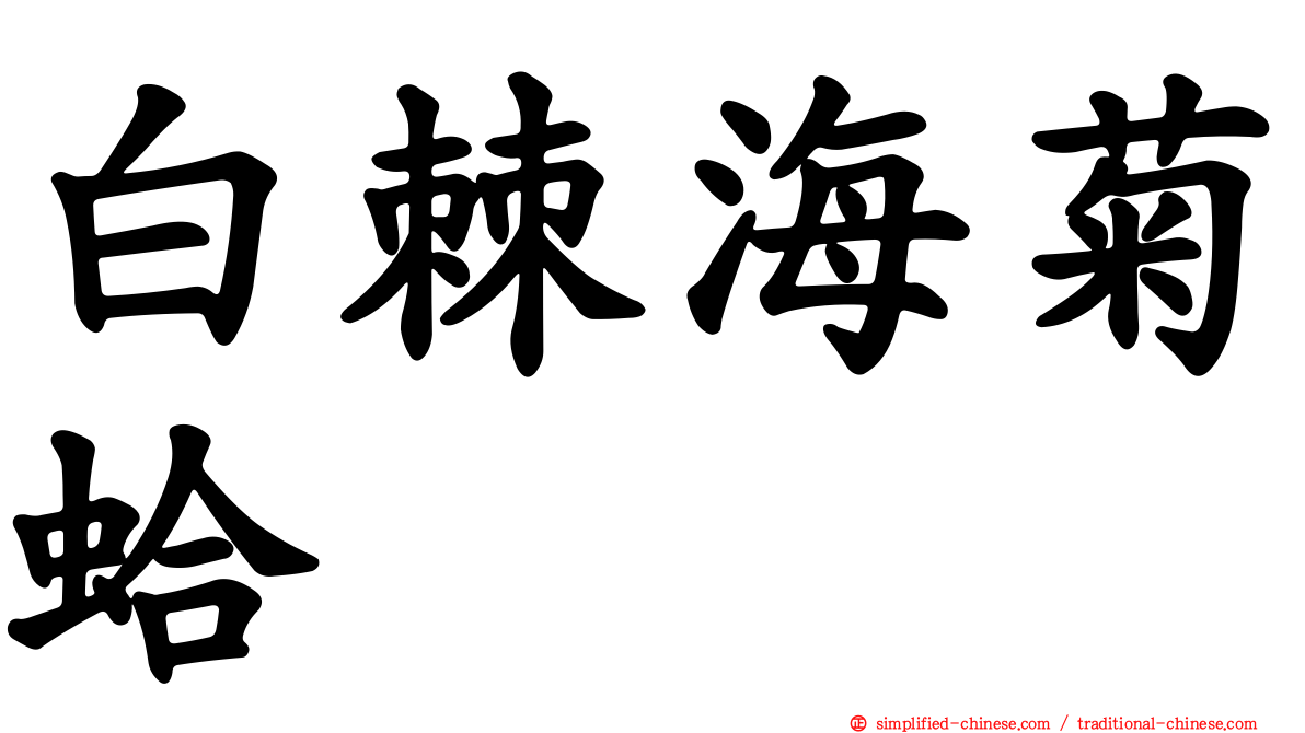 白棘海菊蛤