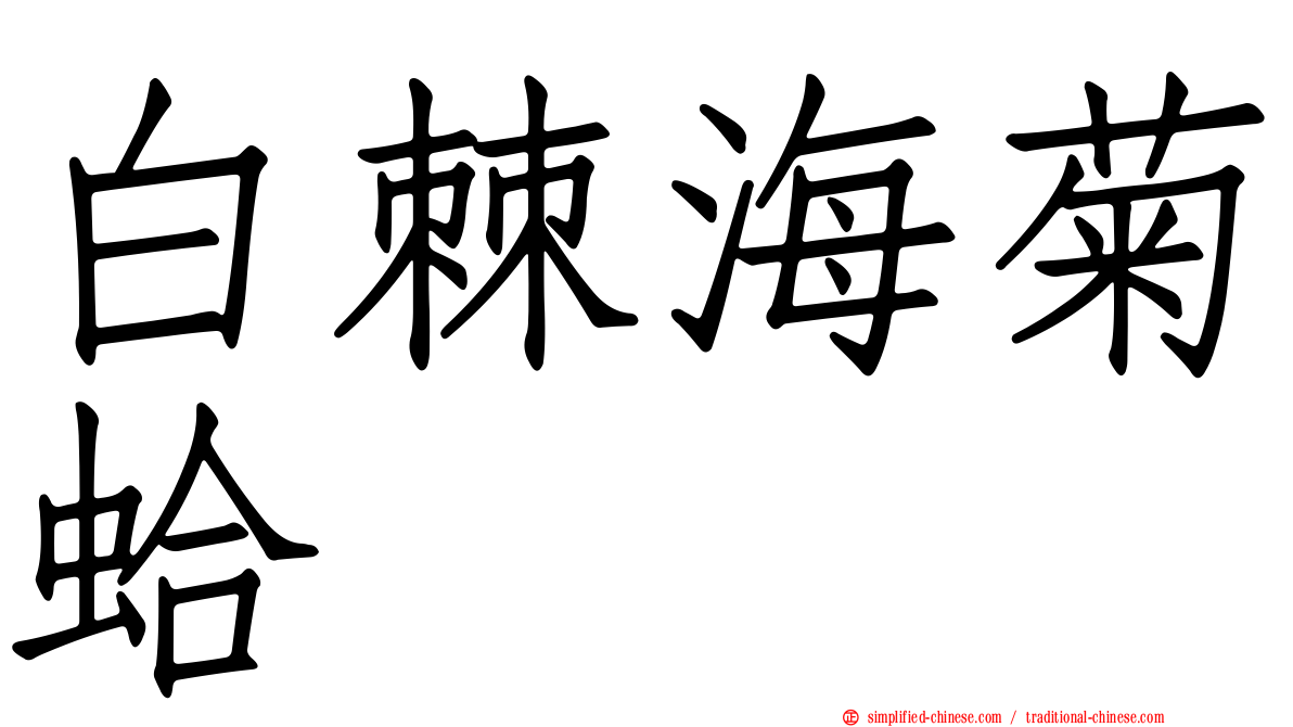 白棘海菊蛤