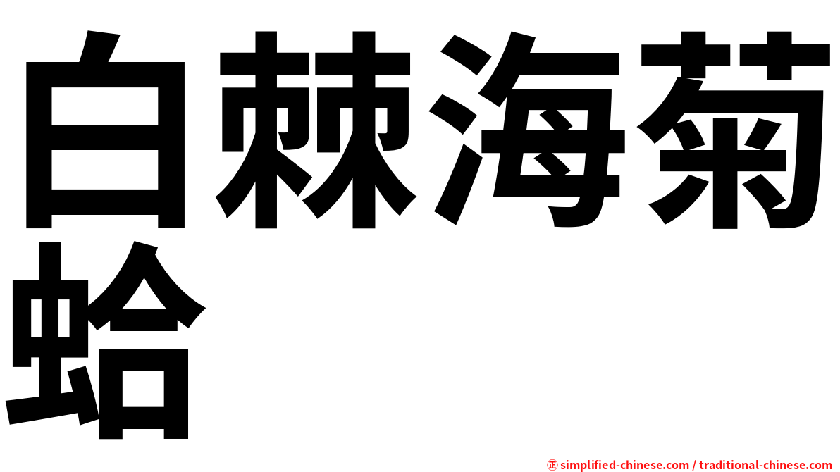 白棘海菊蛤