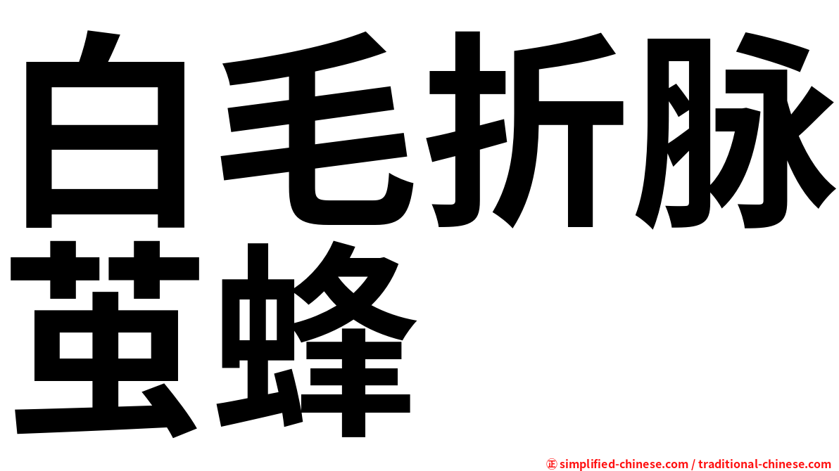 白毛折脉茧蜂