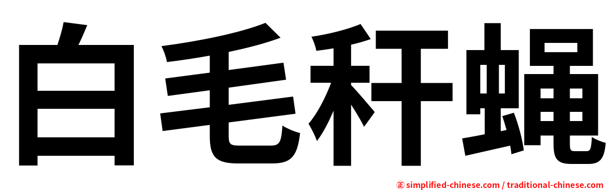 白毛秆蝇