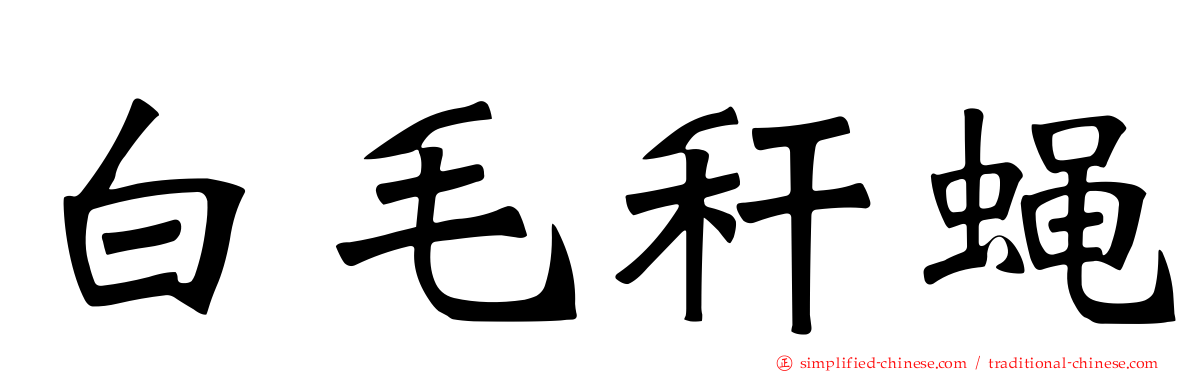 白毛秆蝇