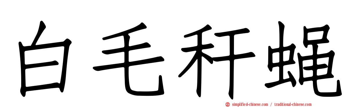 白毛秆蝇