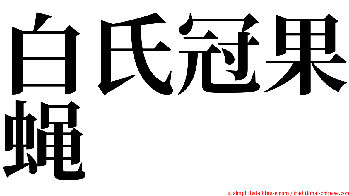 白氏冠果蝇 serif font