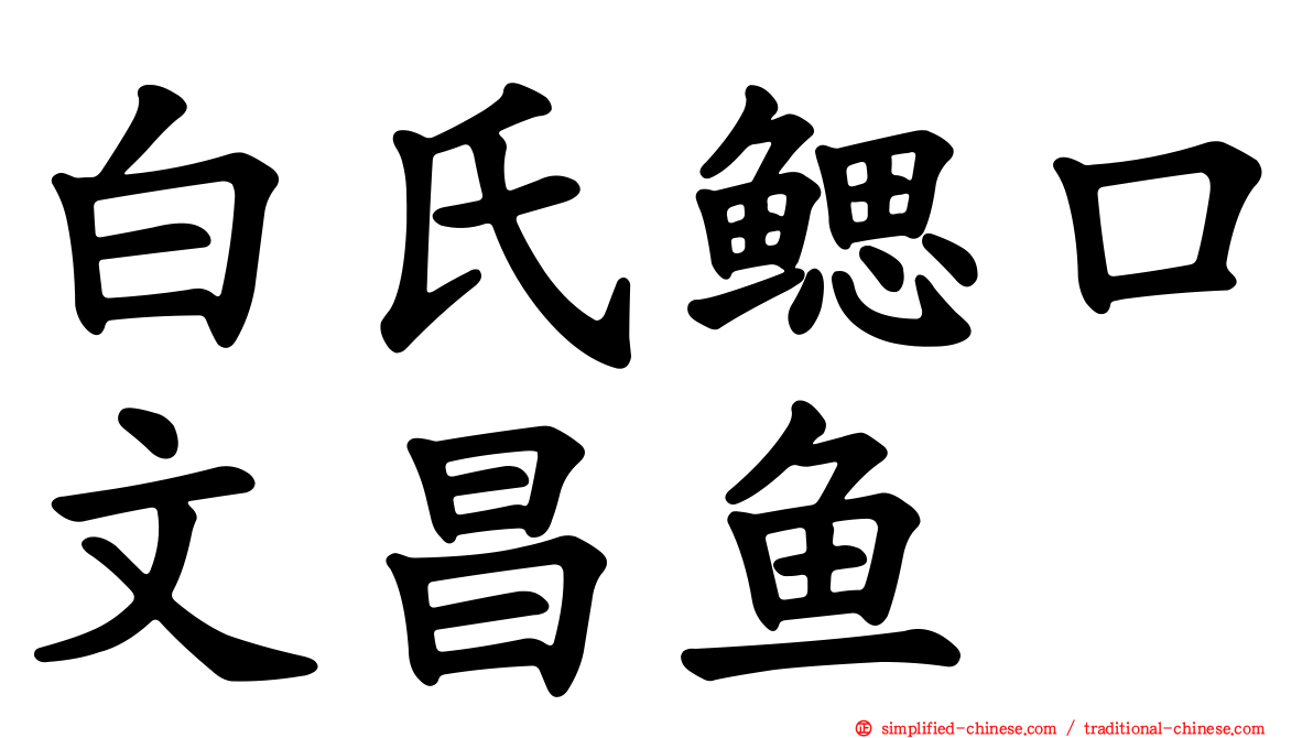 白氏鳃口文昌鱼