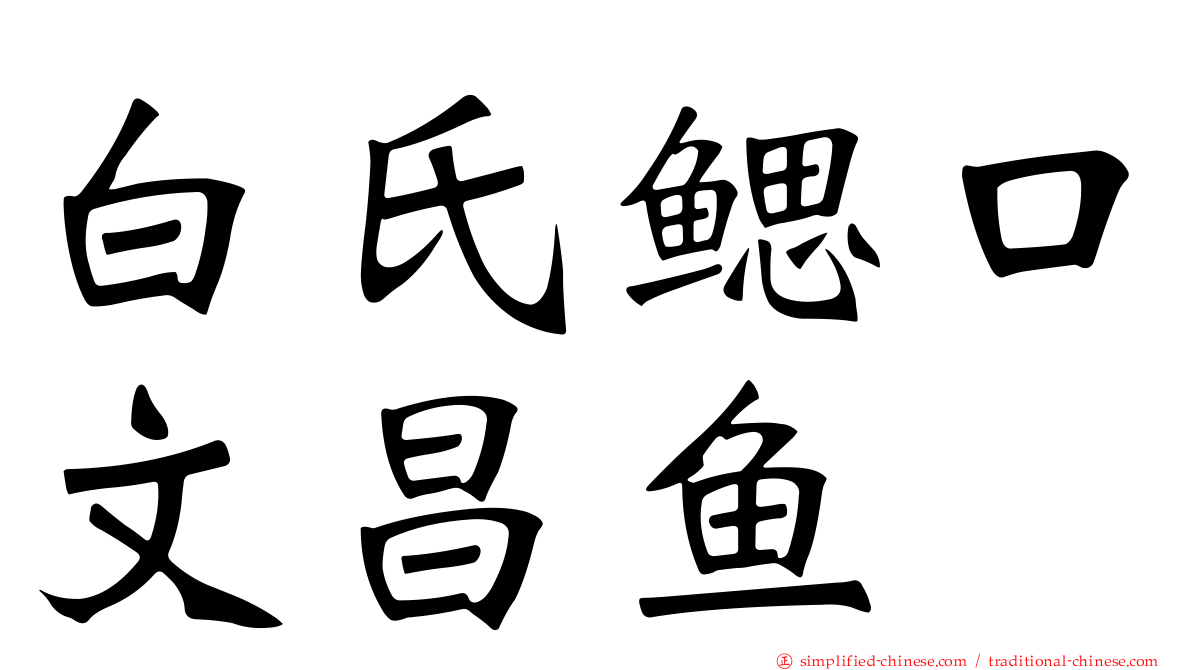 白氏鳃口文昌鱼
