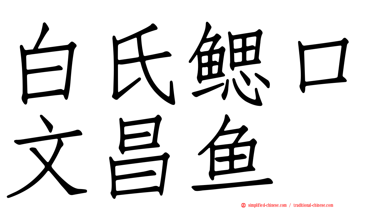 白氏鳃口文昌鱼