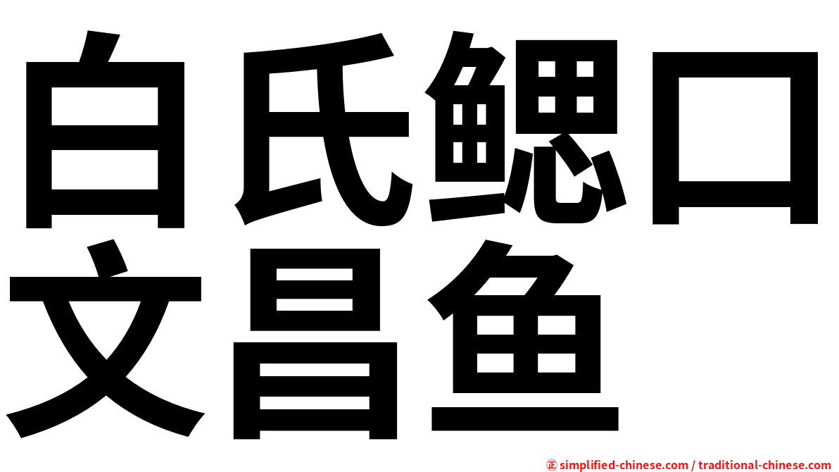 白氏鳃口文昌鱼