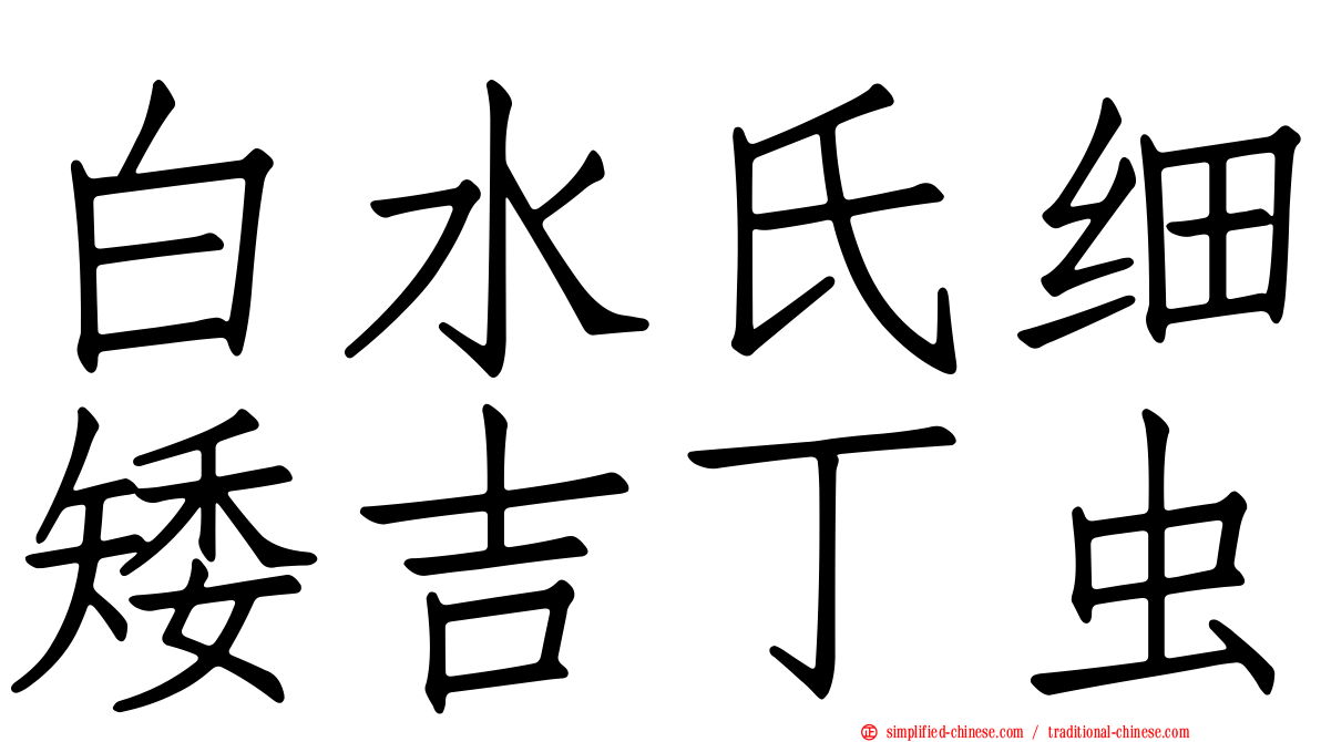 白水氏细矮吉丁虫