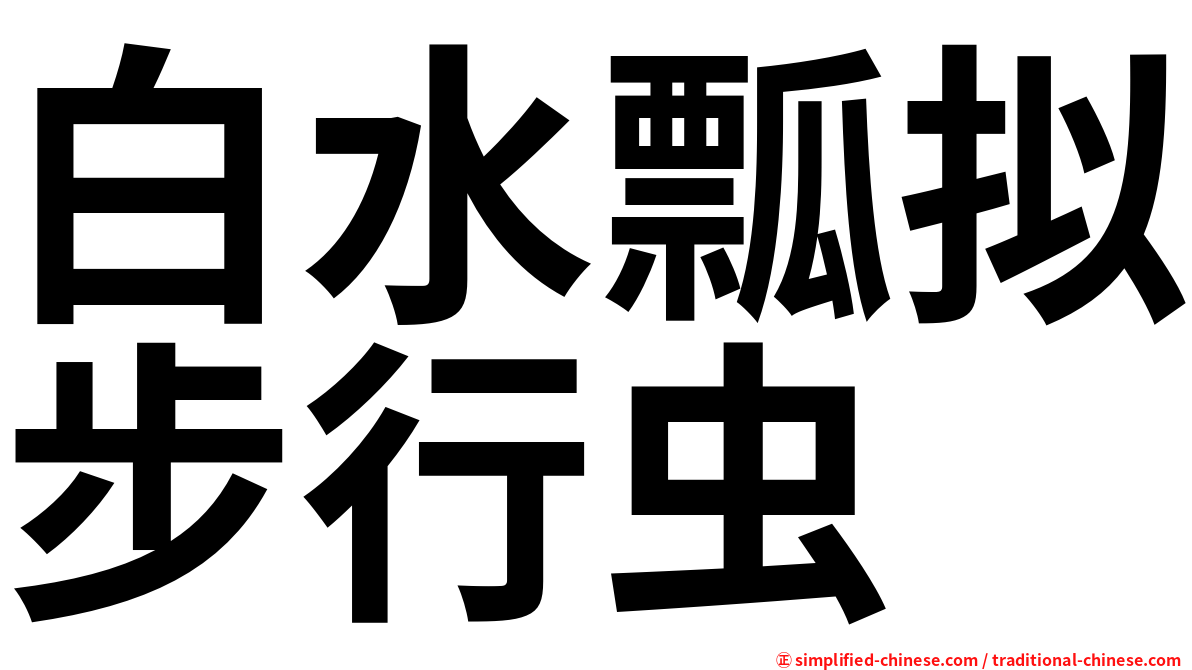 白水瓢拟步行虫