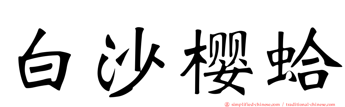 白沙樱蛤