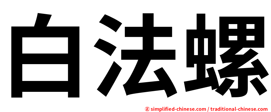 白法螺