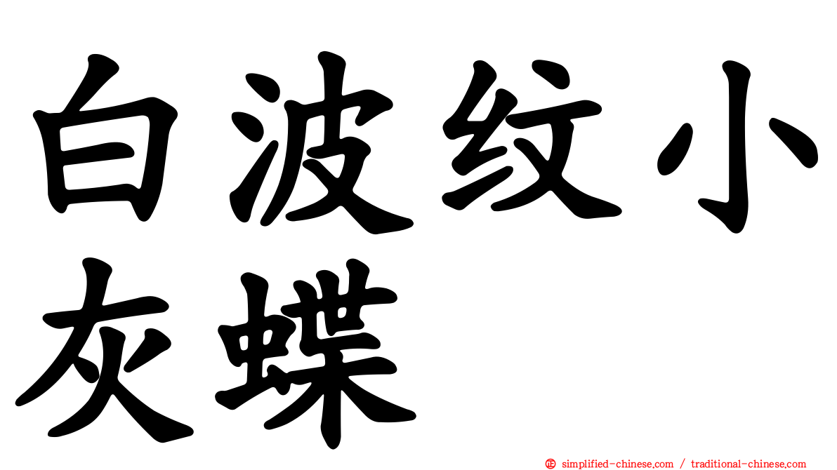 白波纹小灰蝶