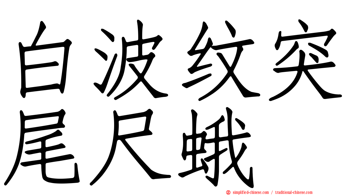 白波纹突尾尺蛾