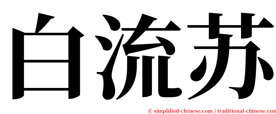 白流苏 serif font