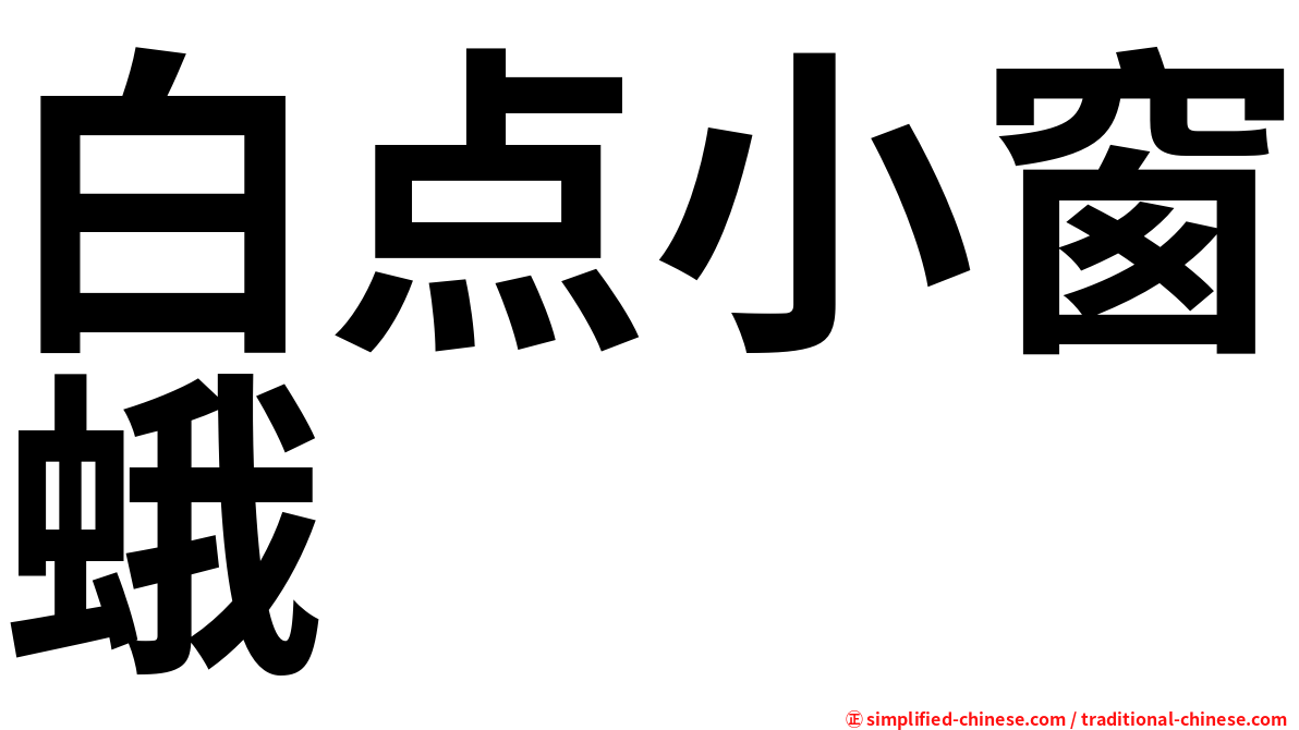 白点小窗蛾