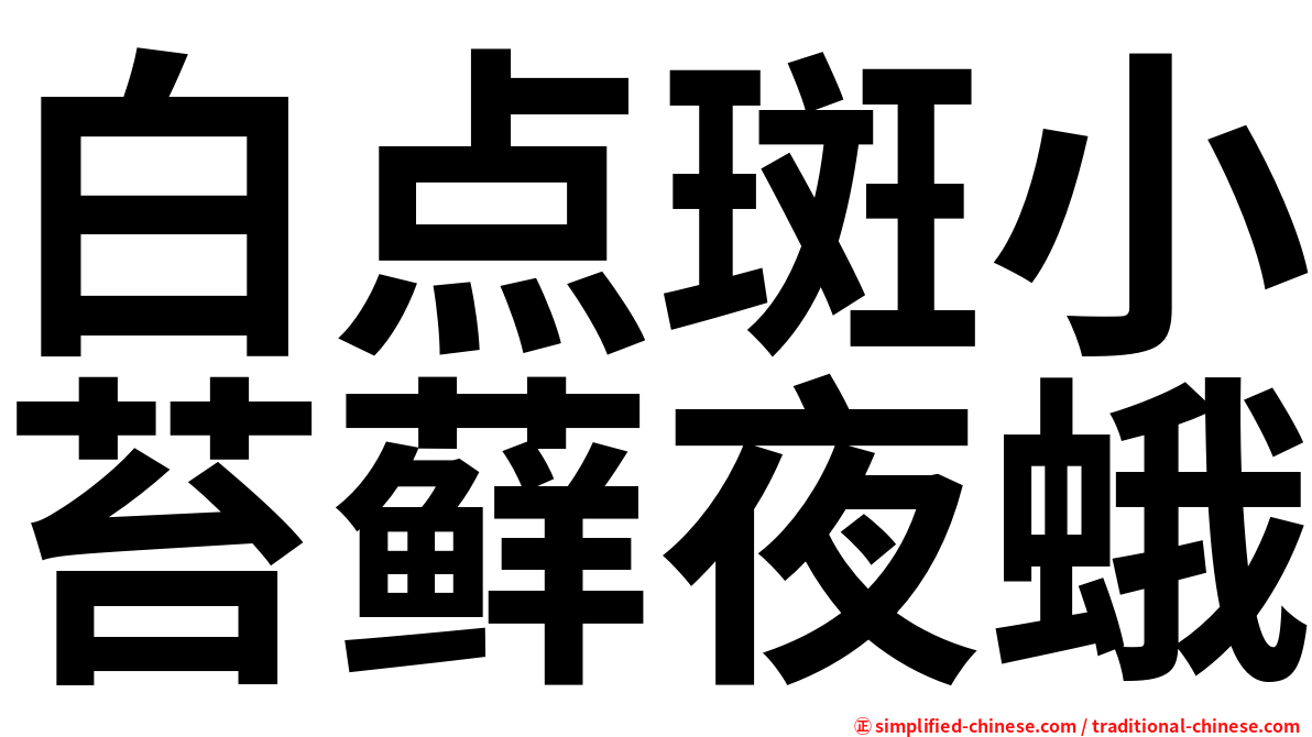 白点斑小苔藓夜蛾