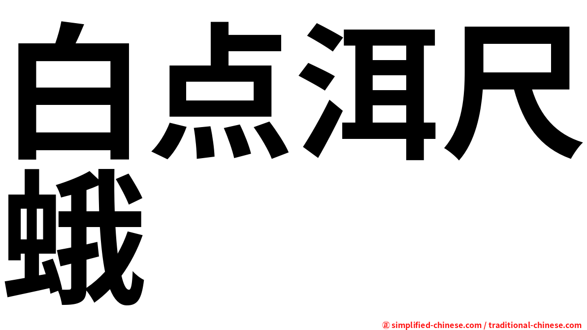 白点洱尺蛾