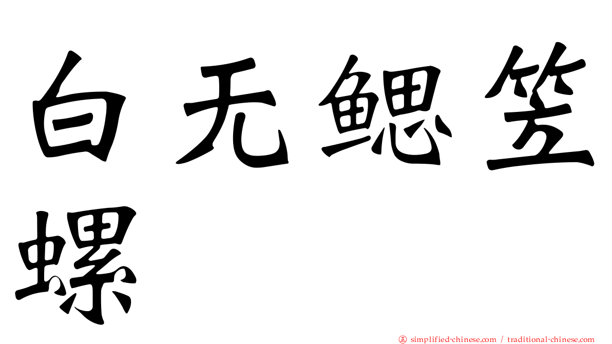 白无鳃笠螺