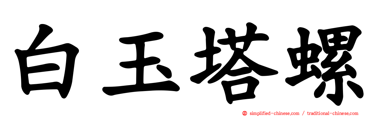 白玉塔螺