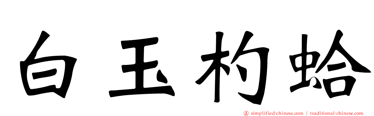 白玉杓蛤