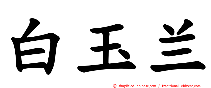 白玉兰