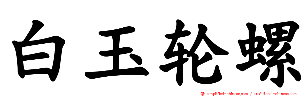 白玉轮螺