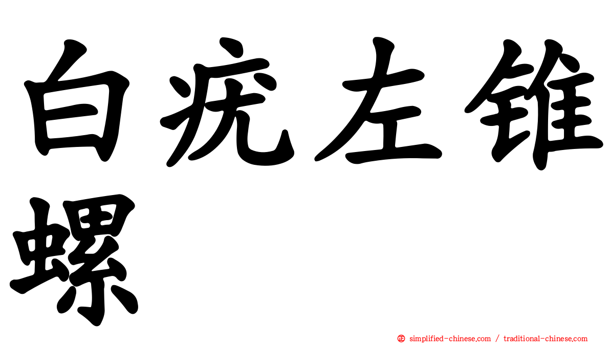 白疣左锥螺