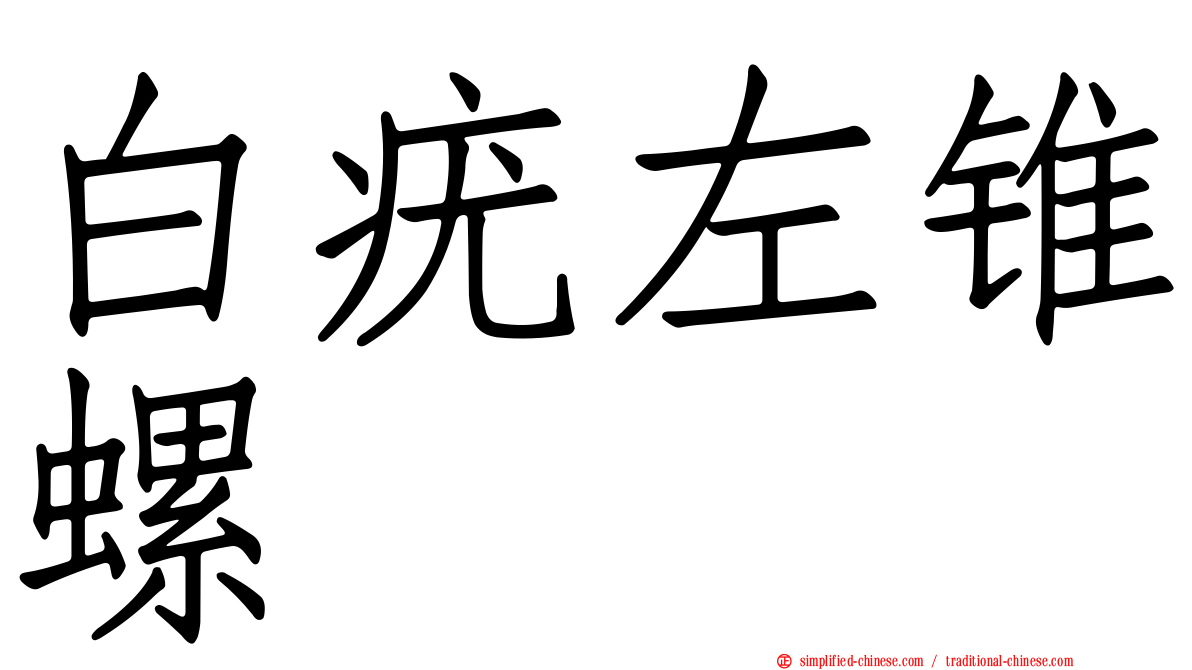 白疣左锥螺
