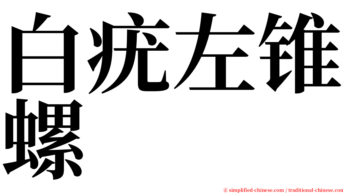 白疣左锥螺 serif font