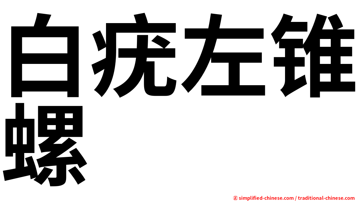 白疣左锥螺