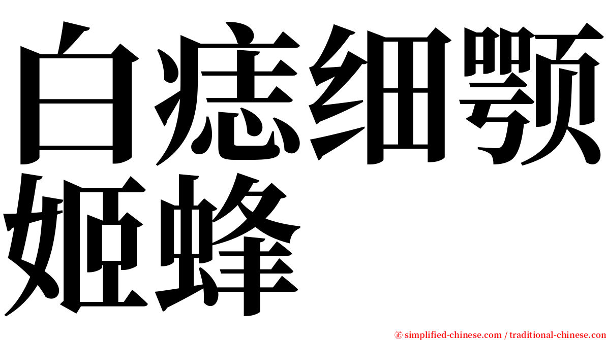 白痣细颚姬蜂 serif font