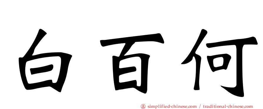 白百何