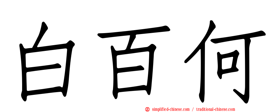 白百何