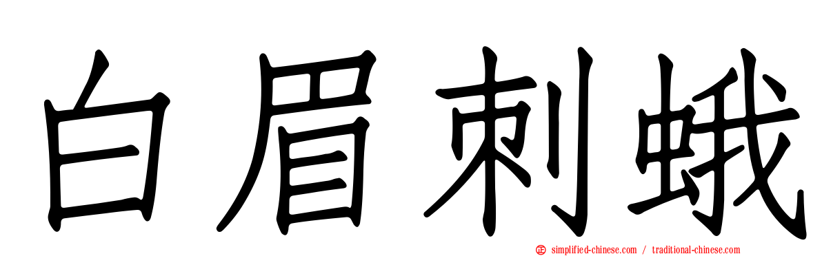 白眉刺蛾