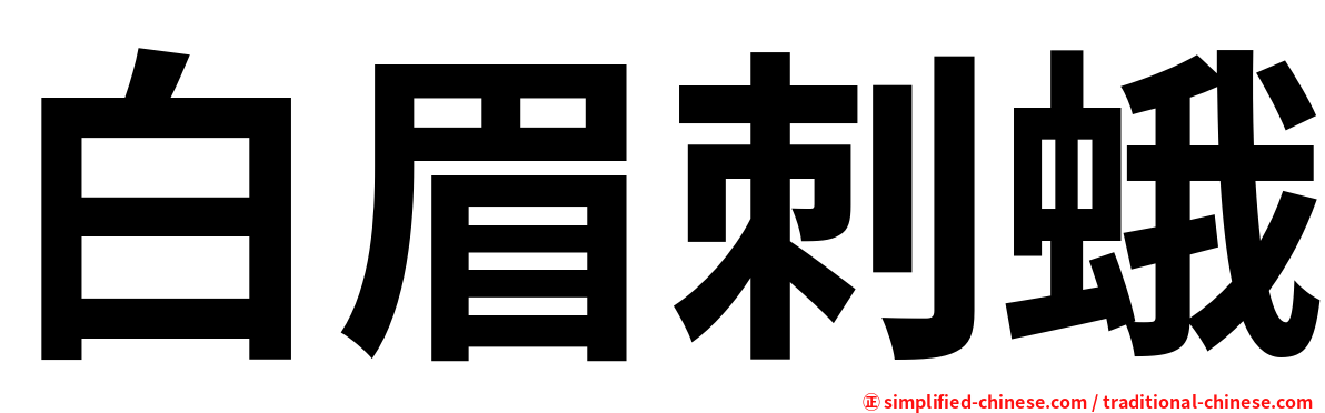 白眉刺蛾
