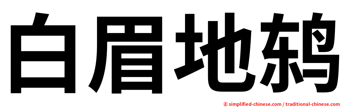 白眉地鸫