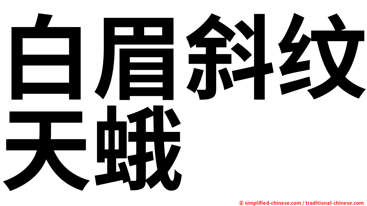 白眉斜纹天蛾