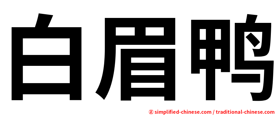 白眉鸭