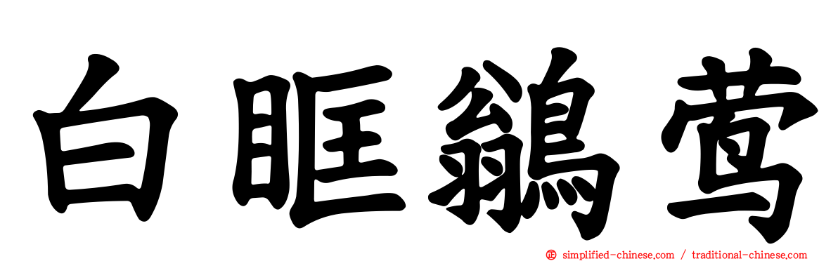 白眶鹟莺